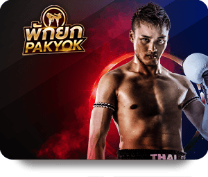 SBOTOP Review: Tính Năng Và Trải Nghiệm Người Dùng